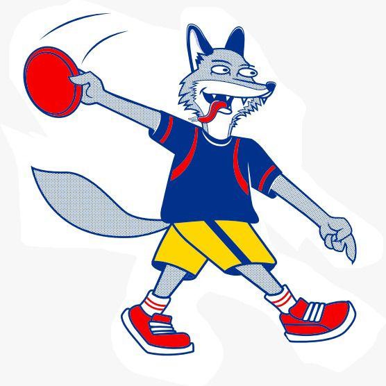 Camisa OVERSIZE Colombia Duro